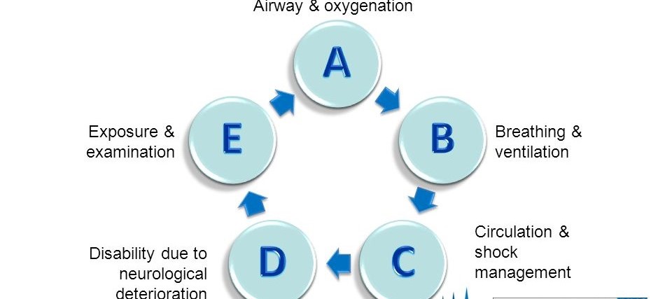 dissertation about critical care nursing