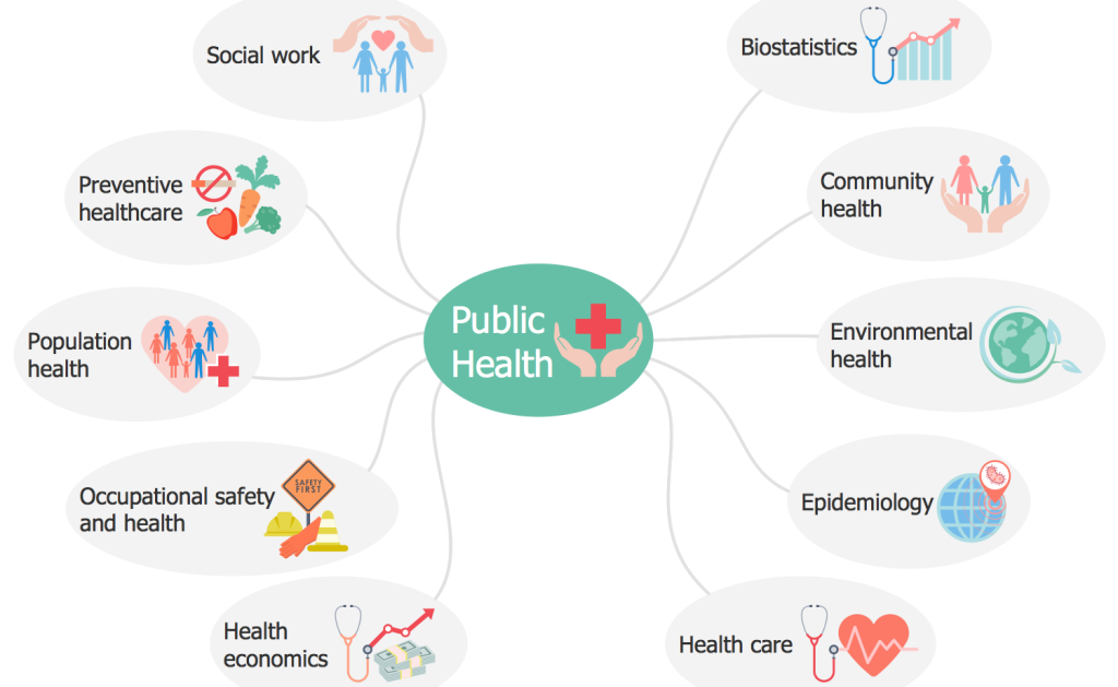 nursing essay on public health