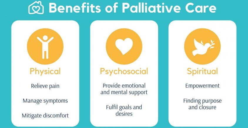 palliative care nursing paper